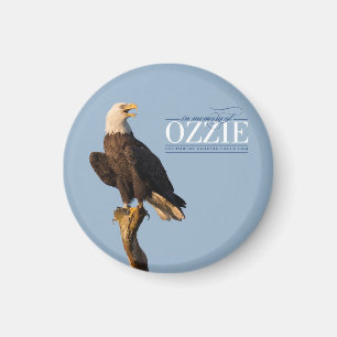 Recordando el imán del círculo de Ozzie