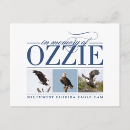 Recordando la postal de Ozzie