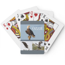 Recordar los naipes de Ozzie