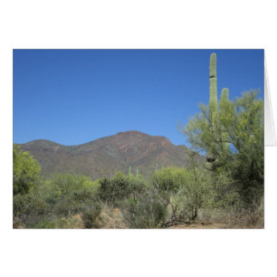 Recorrido de Apache escénico