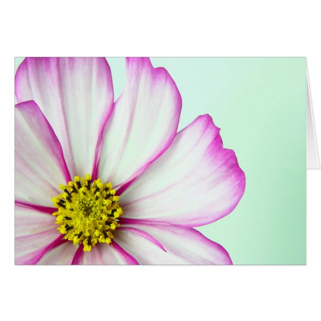 Recortado en rosa (Anverso (Horizontal))