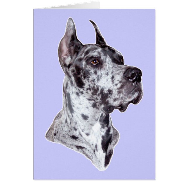 Recorte de Great Dane Merle (Frente)