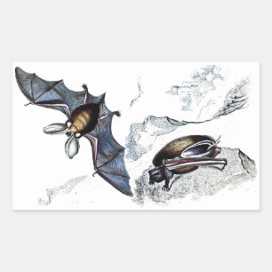 Rectangular Bats Pegatina