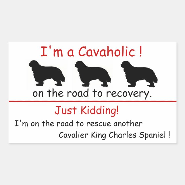 Rectangular Cavaholic Cavalier King Charles Pegatina (Anverso)