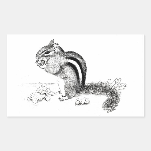 Rectangular Chipmunk Pegatina (Anverso)