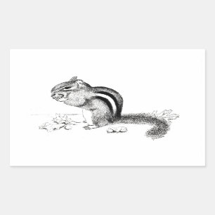 Rectangular Chipmunk Pegatina