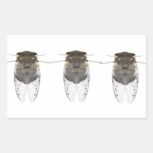 Rectangular cigarra pegatina