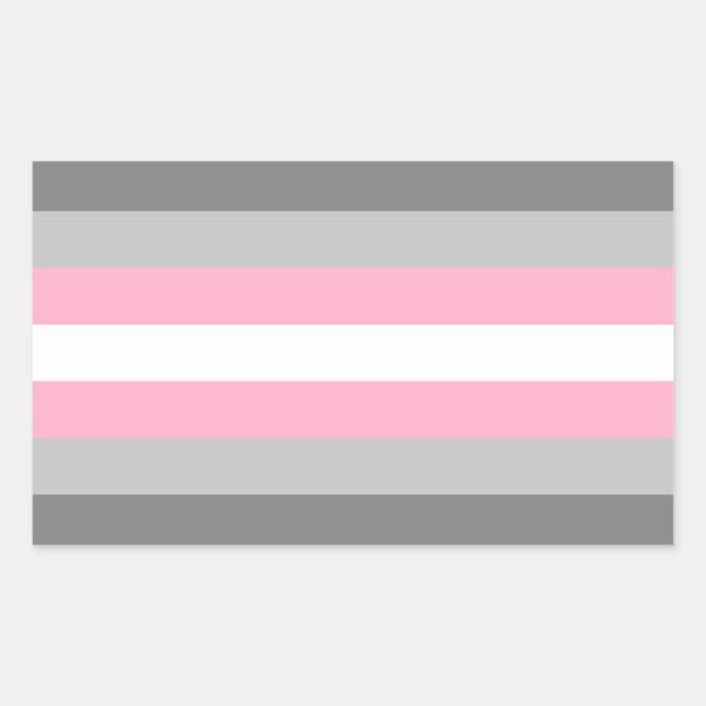 Rectangular Demigirl Pride Rectangle Pegatina (Anverso)