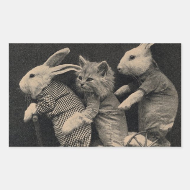 Rectangular Dos conejitos y un gato en un Pegatina de Scooter (Anverso)