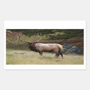 Rectangular Elk in the Wild Pegatina