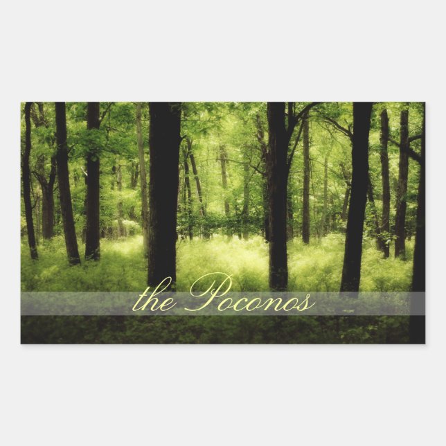 Rectangular Ethereal Summer Woods Poconos Pegatina (Anverso)