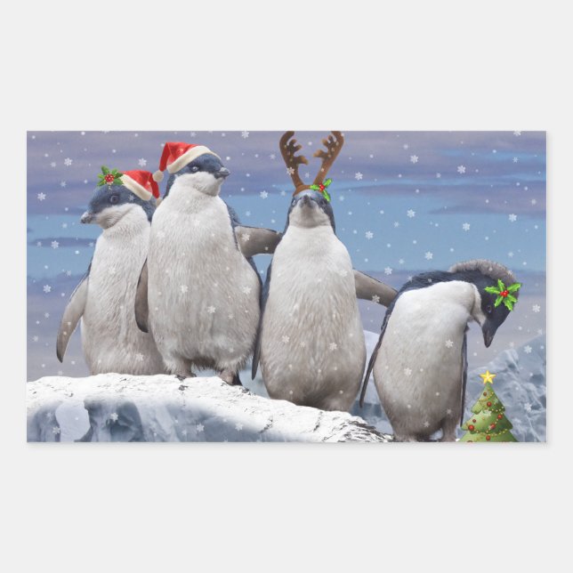 Rectangular Fiesta Pingos Pegatina (Anverso)