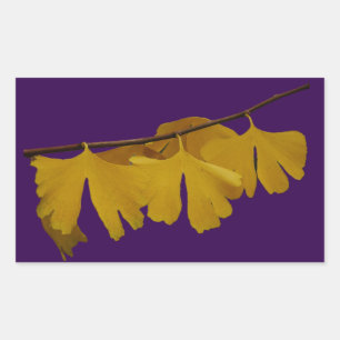 Rectangular Ginkgo Biloba deja Pegatina