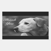 Gracias, Pegatina del Labrador Amarillo Recuperado