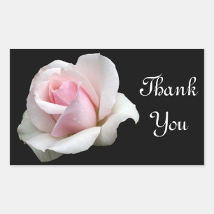 Rectangular Gracias Rosa Rosa Rosa Greeting Pegatina Label