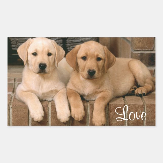 Rectangular Love Labrador Retriever Puppies Pegatina (Anverso)