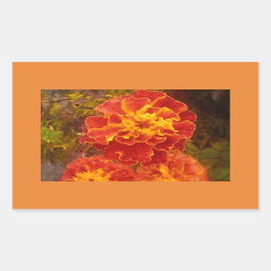 Rectangular Naranja Marigold Caída Mañana Pegatina
