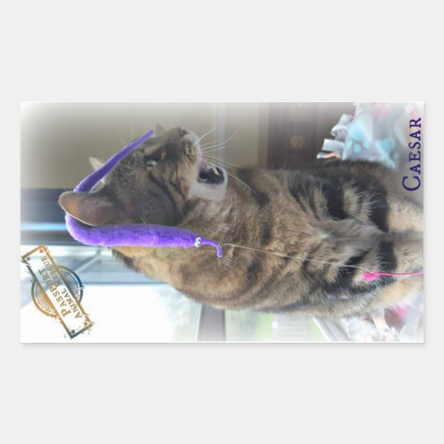 Rectangular PAR Caesar Pegatina (Anverso)