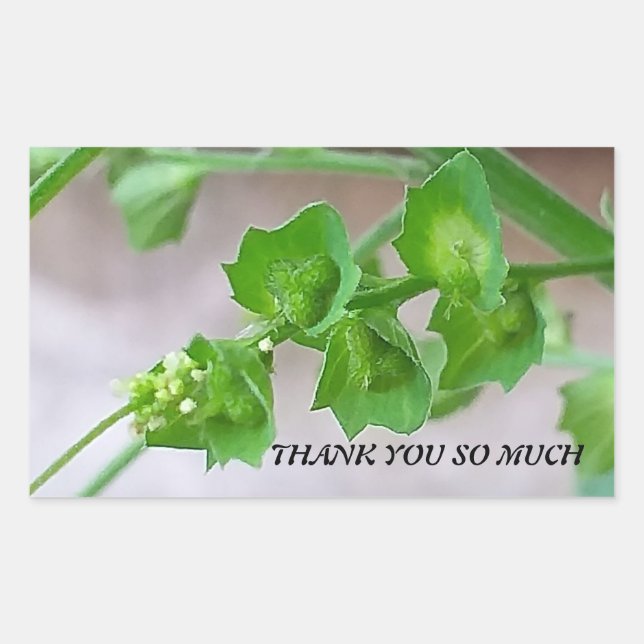 RECTANGULAR PEGATINA DE AGRADECIMIENTO (Anverso)