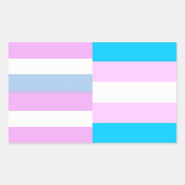 Rectangular Pegatina de banderas de orgullo intersexual/trans (Anverso)