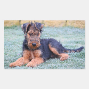 Rectangular Pegatina de cachorro de perro Terrier Airedale Amo