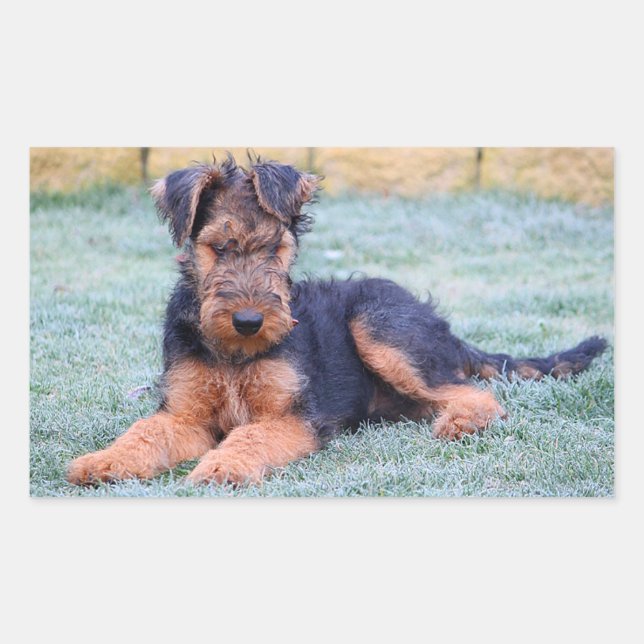 Rectangular Pegatina de cachorro de perro Terrier Airedale Amo (Anverso)