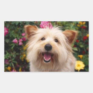 Rectangular Pegatina de cachorro de perro Terrier Cairn feliz
