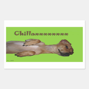 Rectangular Pegatina de Chillaxin Chiweenie