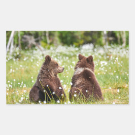 Rectangular Pegatina de dos osos marrones jóvenes