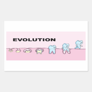 Rectangular Pegatina de la odontología de la evolución