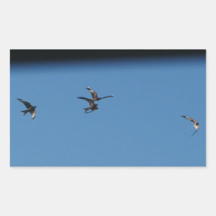 Rectangular Pegatina de los cometas rojos