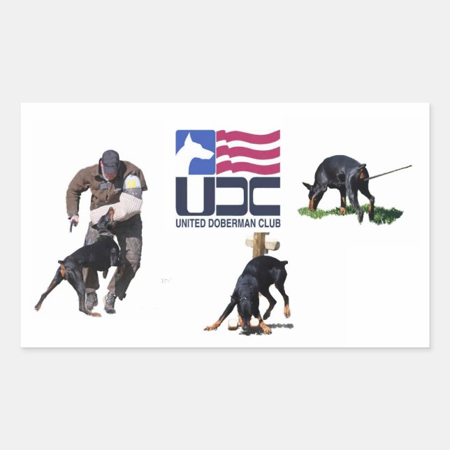 Rectangular Pegatina de OPI de UDC (Anverso)