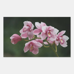 Rectangular pegatina de rectángulo de orquídeas de color rosa