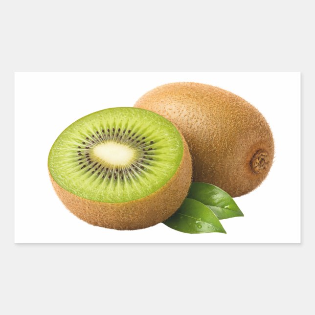 Rectangular Pegatina de rodaja de kiwi fresco y fruta entera (Anverso)