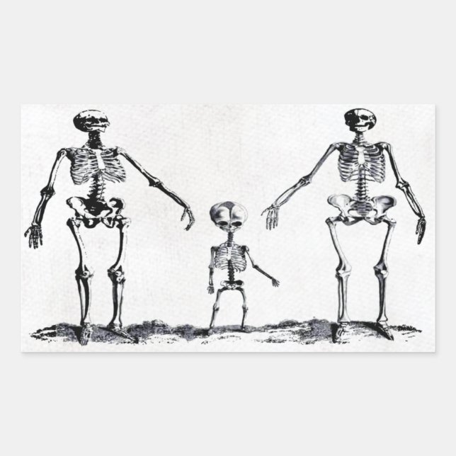 Rectangular Pegatina de Skeleton Family (Anverso)