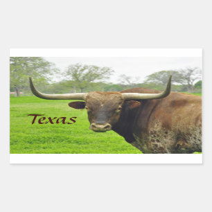 Rectangular Pegatina de "Tejas" del fonolocalizador de bocinas