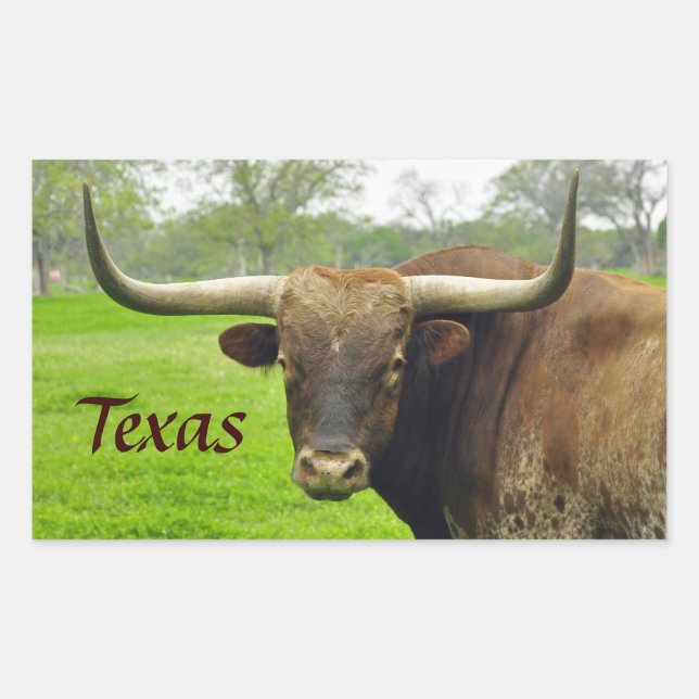 Rectangular Pegatina de Texas Longhorn "Texas" (Anverso)