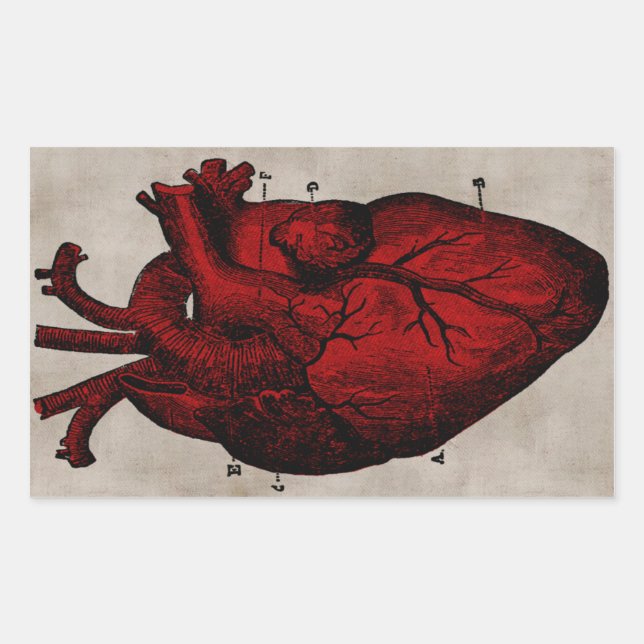 Rectangular Pegatina del corazón humano (Anverso)