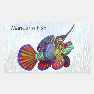 Rectangular Pegatina del personalizable de los pescados del