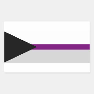 Rectangular Pegatina del rectángulo del orgullo de Demisexual