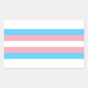 Rectangular Pegatina del rectángulo del orgullo del transexua