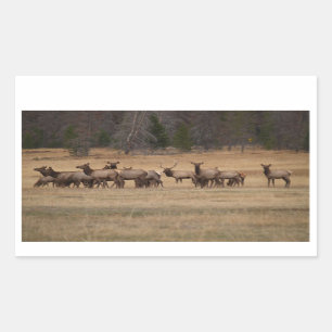 Rectangular Pegatina Elk Herd Rectangle