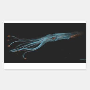 Rectangular Pegatina hipotético del calamar