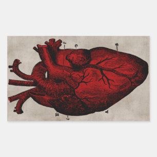 Rectangular Pegatina humano del corazón