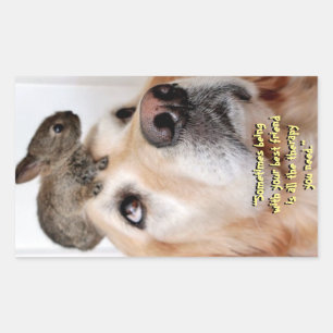 Rectangular pegatina "Mi mejor amigo"