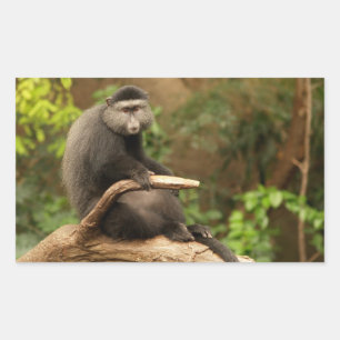 Rectangular Pegatina Rectángulo de mono