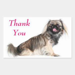 Rectangular Perrito Pekingés Cachorro Gracias Pegatina Saludo