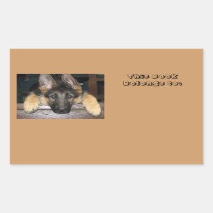 Rectangular Pertenece al pegatina conocido