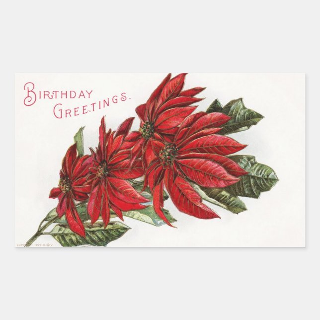 Rectangular Poinsettia Diciembre Cumpleaños Pegatina rectangul (Anverso)