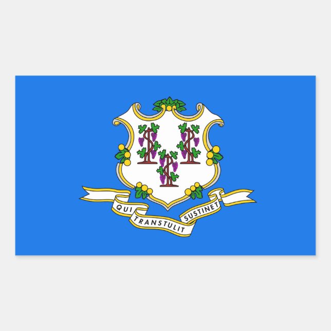 Rectangular Rectangle pegatina con Bandera de Connecticut, EE. (Anverso)